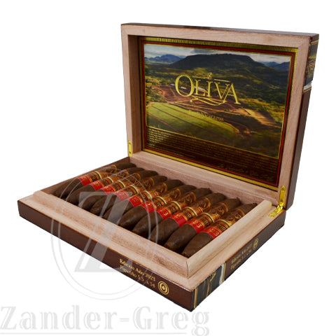 OLIVA V MELANIO ANO 2023 FIGURINO